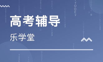 天津樂學堂教育 大眾網推薦品牌的專業教育信息咨詢之路