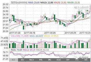 掘金數(shù)字未來(lái) 信息技術(shù)咨詢服務(wù)板塊的明日熱門(mén)金股解析
